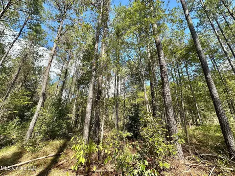 0 Bridges Rd, Florence, MS 39073 photo 6