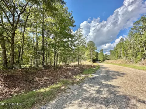 0 Bridges Rd, Florence, MS 39073 photo 2