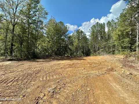 0 Bridges Rd, Florence, MS 39073 photo 5