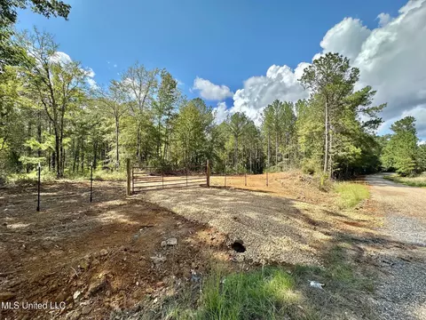 0 Bridges Rd, Florence, MS 39073 photo 4
