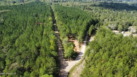 0 Bridges Rd, Florence, MS 39073 photo 8