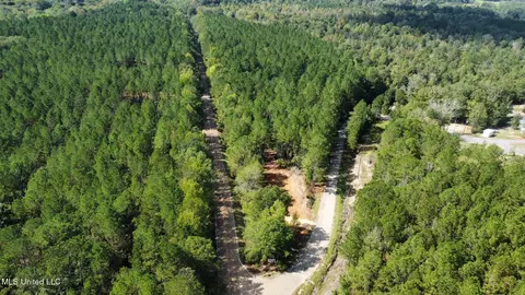 0 Bridges Rd, Florence, MS 39073 photo 9