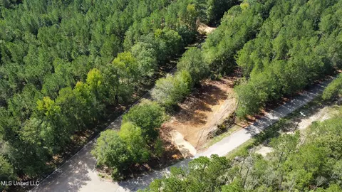 0 Bridges Rd, Florence, MS 39073 photo 10
