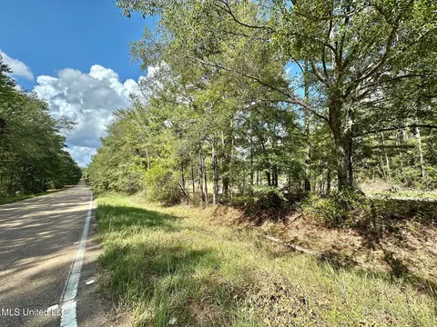 0 Bridges Rd, Florence, MS 39073 photo 3