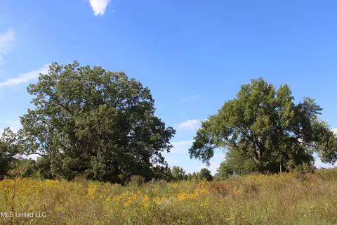 5300 Desoto Rd, Walls, MS 38680