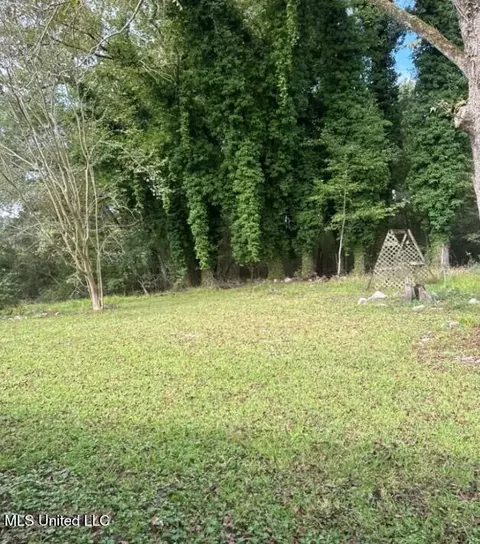 Exterior - 9733 Mount Moriah Rd, Edwards, MS 39066 photo 3 of 3