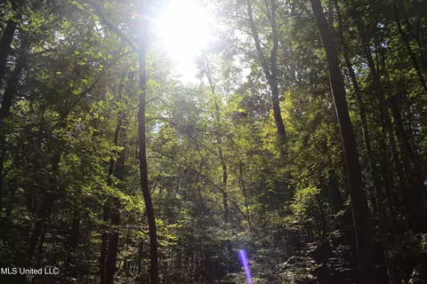 tbd Fox Rd, Gloster, MS 39638 photo 17