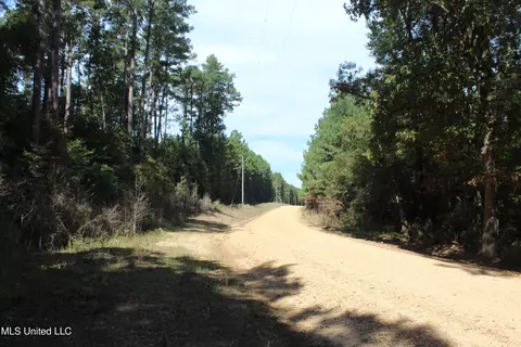 tbd Fox Rd, Gloster, MS 39638 photo 13