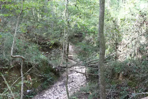 tbd Fox Rd, Gloster, MS 39638 photo 16