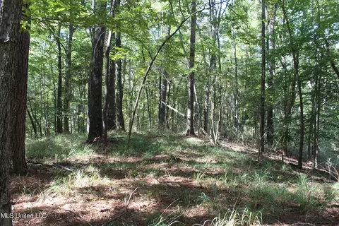 tbd Fox Rd, Gloster, MS 39638 photo 14