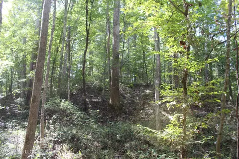 tbd Fox Rd, Gloster, MS 39638 photo 18
