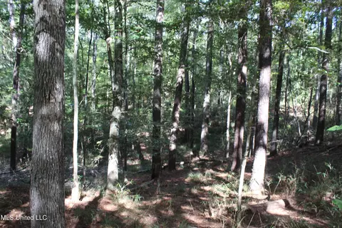 tbd Fox Rd, Gloster, MS 39638 photo 15