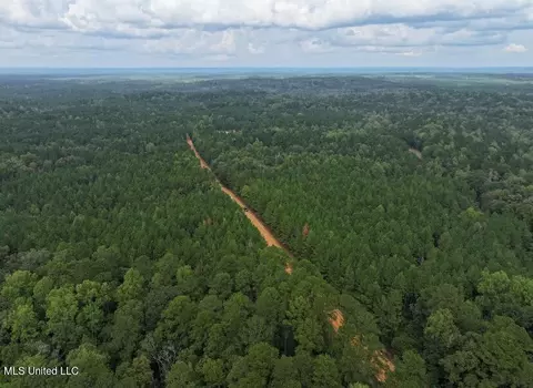 tbd Fox Rd, Gloster, MS 39638 photo 11
