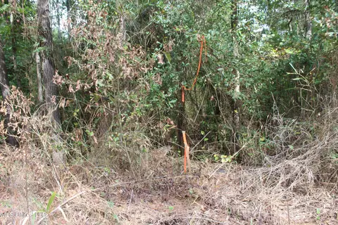 tbd Fox Rd, Gloster, MS 39638 photo 5