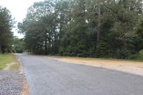 tbd Fox Rd, Gloster, MS 39638 photo 8