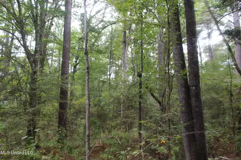 tbd Fox Rd, Gloster, MS 39638 photo 2