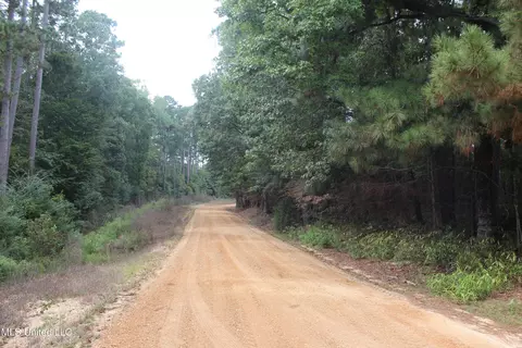 tbd Fox Rd, Gloster, MS 39638 photo 10