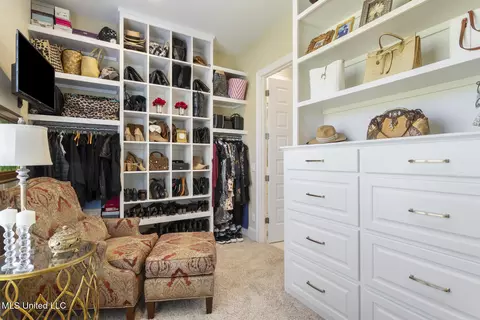 Other - 125 Bridgewater Loop, Madison, MS 39110 photo 7 of 9