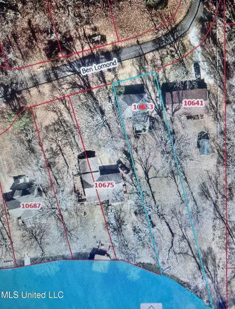 10653 Ben Lomand, Hernando, MS 38632 photo 25