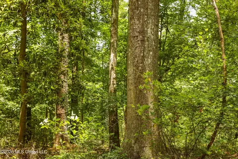 tbd Ms-570, Summit, MS 39666 photo 20