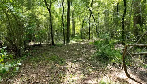 tbd Ms-570, Summit, MS 39666 photo 7