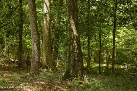 tbd Ms-570, Summit, MS 39666 photo 15