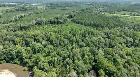 tbd Ms-570, Summit, MS 39666 photo 8