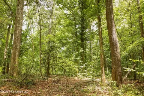 tbd Ms-570, Summit, MS 39666 photo 19