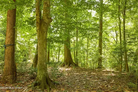 tbd Ms-570, Summit, MS 39666 photo 22