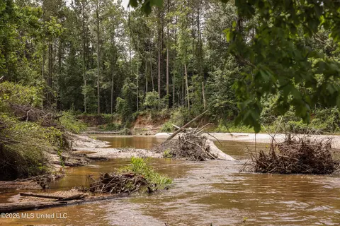 tbd Ms-570, Summit, MS 39666 photo 17
