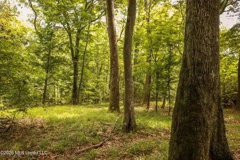 tbd Ms-570, Summit, MS 39666 photo 16