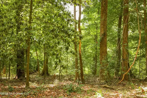 tbd Ms-570, Summit, MS 39666 photo 21