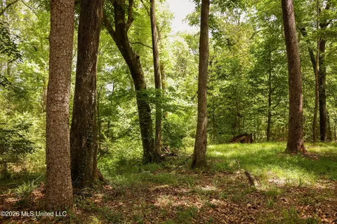 tbd Ms-570, Summit, MS 39666 photo 11