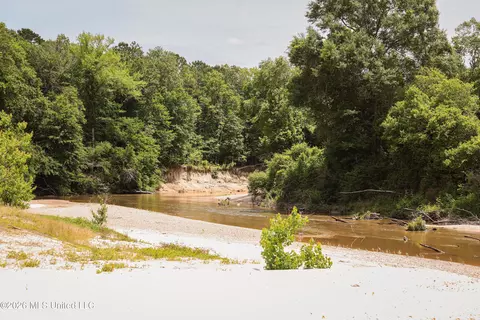 tbd Ms-570, Summit, MS 39666 photo 23