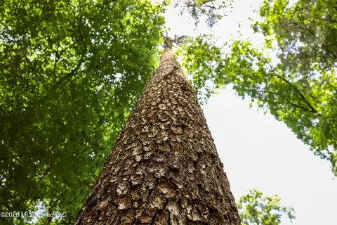 tbd Ms-570, Summit, MS 39666 photo 14