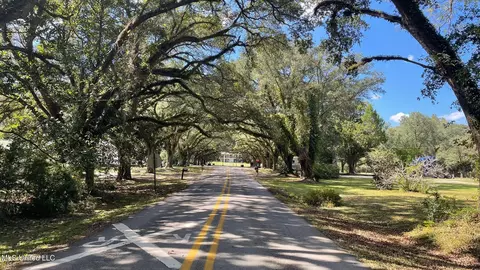 Old Hwy 49, Saucier, MS 39574 photo 3