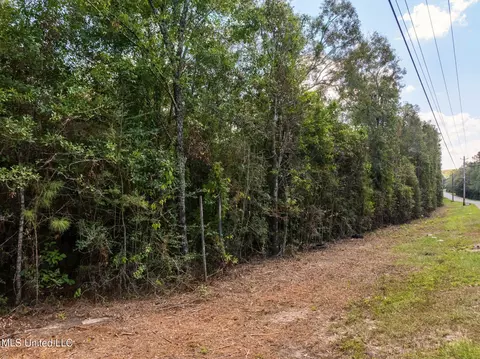 Old Hwy 49, Saucier, MS 39574 photo 6