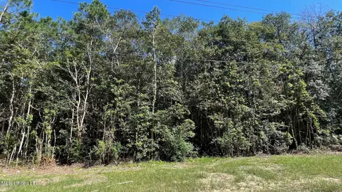 Old Hwy 49, Saucier, MS 39574 photo 4