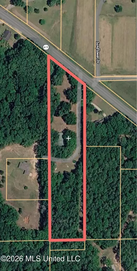 Other - 8105 Highway 613, Lucedale, MS 39452 photo 6 of 6