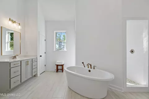 Bath - 913 Lloyds Ln, Nesbit, MS 38651 photo 4 of 5