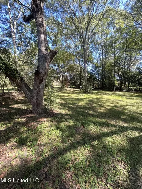 Exterior - 505 S Magnolia St, Summit, MS 39666 photo 8 of 9