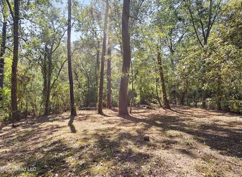 715 Dorgan St, Jackson, MS 39204 photo 9