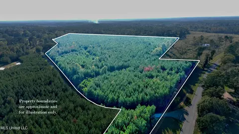 0000 Thompson Ln, Ruth, MS 39662