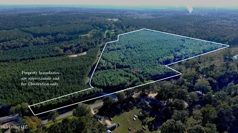 0000 Thompson Ln, Ruth, MS 39662 photo 2