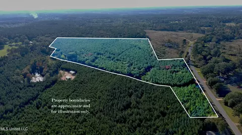 0000 Thompson Ln, Ruth, MS 39662 photo 3