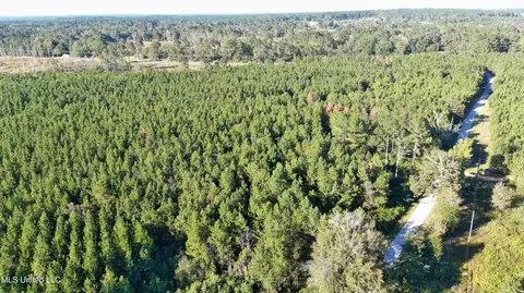 0000 Thompson Ln, Ruth, MS 39662 photo 7