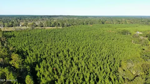 0000 Thompson Ln, Ruth, MS 39662 photo 6