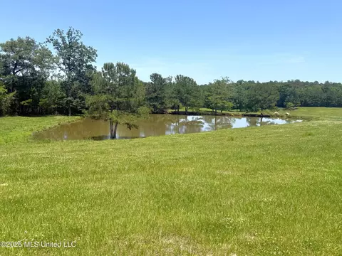 Gibson Rd And Fortenberry Circle, Mccomb, MS 39648
