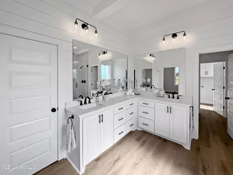 Bath - 404 Lennon Ln, Brandon, MS 39047 photo 1 of 4