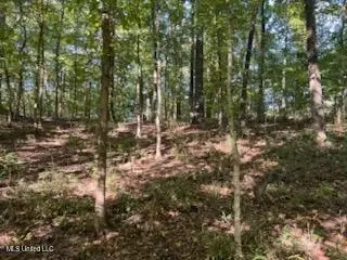 11402 Sequoyah Dr, Hernando, MS 38632 photo 3